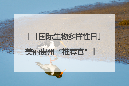 「国际生物多样性日」美丽贵州“推荐官”