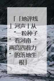 「地评线」河声丨从“一粒种子”看河南“两高四着力”的落地生根