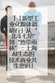 「新型工业化媒体调研行」从“北斗七星”到“热带雨林”：上海AI生态的技术商业共生密码