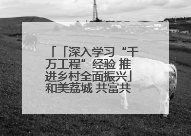 「深入学习“千万工程”经验 推进乡村全面振兴」和美荔城 共富共美 荔城区扎实推进乡村振兴工作
