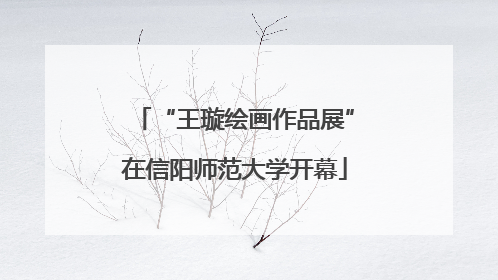 “王璇绘画作品展”在信阳师范大学开幕