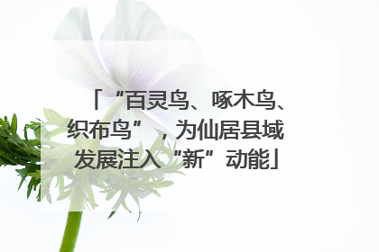 “百灵鸟、啄木鸟、织布鸟”，为仙居县域发展注入“新”动能
