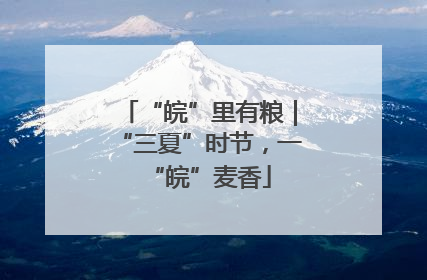 “皖”里有粮｜“三夏”时节，一“皖”麦香