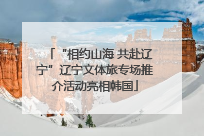 “相约山海 共赴辽宁”辽宁文体旅专场推介活动亮相韩国