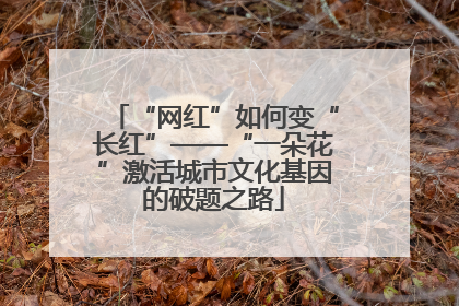 “网红”如何变“长红”——“一朵花”激活城市文化基因的破题之路