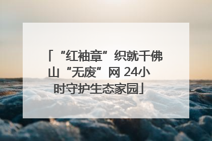 “红袖章”织就千佛山“无废”网 24小时守护生态家园