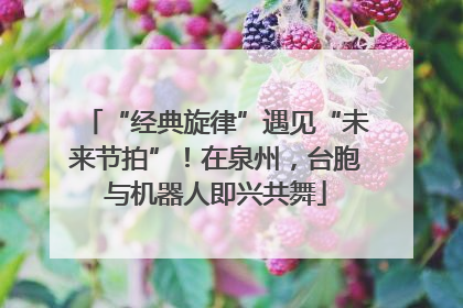 “经典旋律”遇见“未来节拍”！在泉州，台胞与机器人即兴共舞