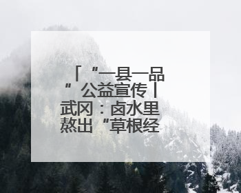 “一县一品”公益宣传丨武冈：卤水里熬出“草根经济”的醇香