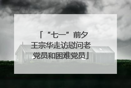 “七一”前夕 王宗华走访慰问老党员和困难党员