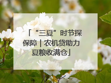 “三夏”时节探保障｜农机贷助力夏粮收满仓