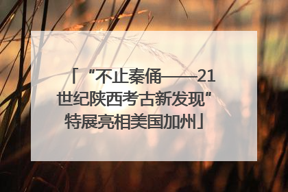 “不止秦俑——21世纪陕西考古新发现”特展亮相美国加州