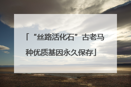 “丝路活化石”古老马种优质基因永久保存
