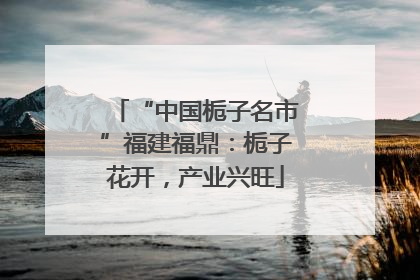 “中国栀子名市”福建福鼎：栀子花开，产业兴旺