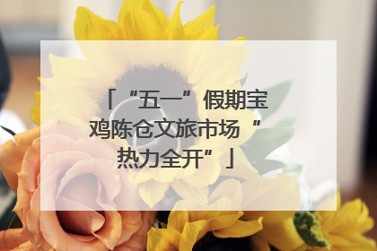 “五一”假期宝鸡陈仓文旅市场“热力全开”