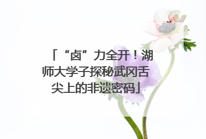 “卤”力全开！湖师大学子探秘武冈舌尖上的非遗密码