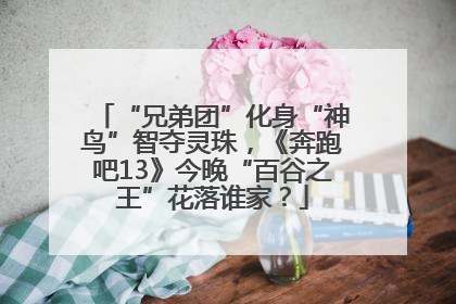 “兄弟团”化身“神鸟”智夺灵珠，《奔跑吧13》今晚“百谷之王”花落谁家？