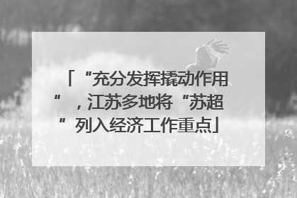 “充分发挥撬动作用”，江苏多地将“苏超”列入经济工作重点