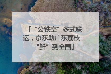 “公铁空”多式联运，京东助广东荔枝“鲜”到全国