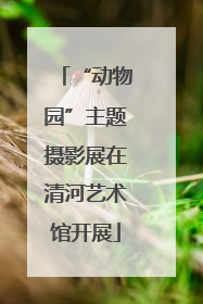 “动物园”主题摄影展在清河艺术馆开展