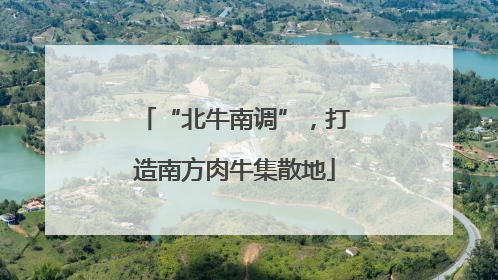 “北牛南调”，打造南方肉牛集散地
