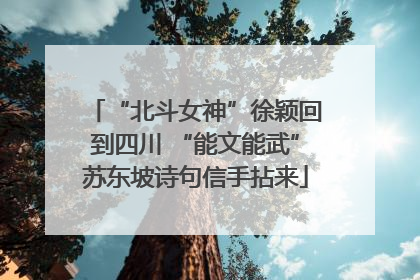“北斗女神”徐颖回到四川 “能文能武”苏东坡诗句信手拈来
