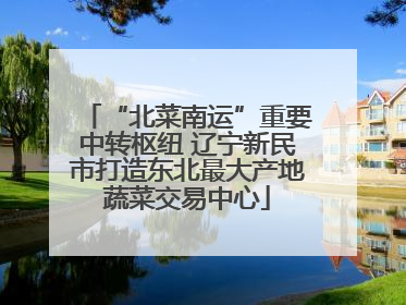 “北菜南运”重要中转枢纽 辽宁新民市打造东北最大产地蔬菜交易中心
