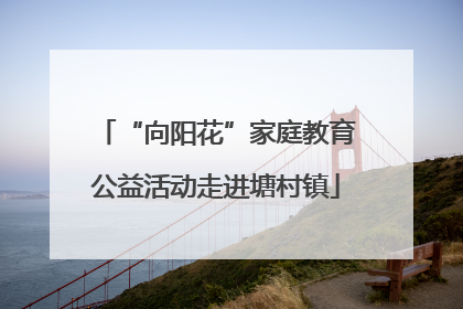 “向阳花”家庭教育公益活动走进塘村镇