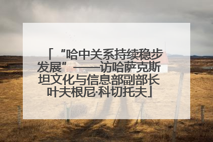 “哈中关系持续稳步发展”——访哈萨克斯坦文化与信息部副部长叶夫根尼·科切托夫