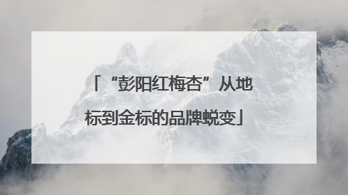 “彭阳红梅杏”从地标到金标的品牌蜕变
