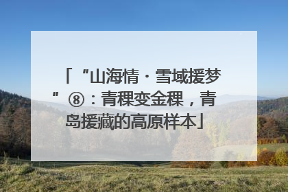 “山海情・雪域援梦”⑧：青稞变金稞，青岛援藏的高原样本