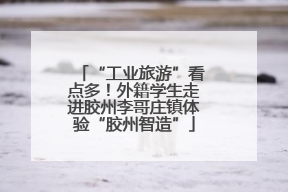 “工业旅游”看点多！外籍学生走进胶州李哥庄镇体验“胶州智造”