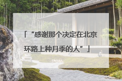 “感谢那个决定在北京环路上种月季的人”