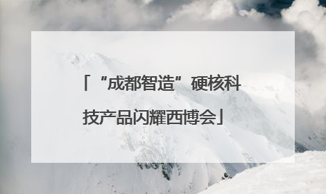 “成都智造”硬核科技产品闪耀西博会