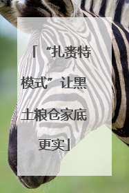 “扎赉特模式”让黑土粮仓家底更实