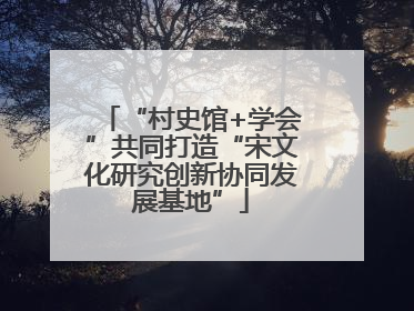 “村史馆+学会”共同打造“宋文化研究创新协同发展基地”