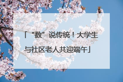 “数”说传统！大学生与社区老人共迎端午