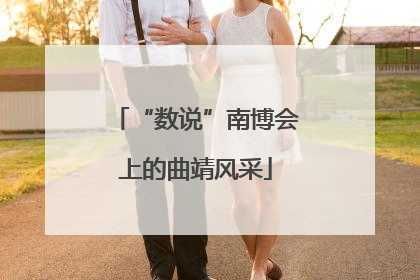 “数说”南博会上的曲靖风采