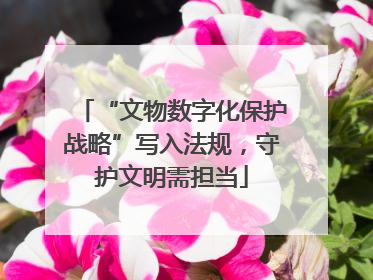 “文物数字化保护战略”写入法规，守护文明需担当