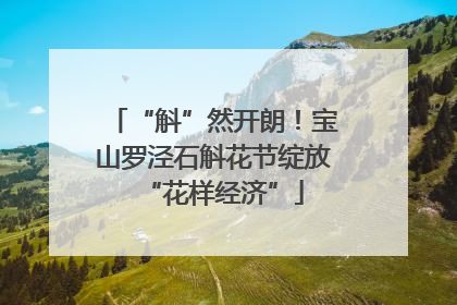 “斛”然开朗！宝山罗泾石斛花节绽放“花样经济”