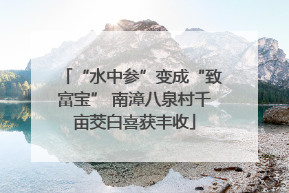 “水中参”变成“致富宝” 南漳八泉村千亩茭白喜获丰收