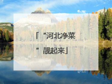 “河北净菜”靓起来
