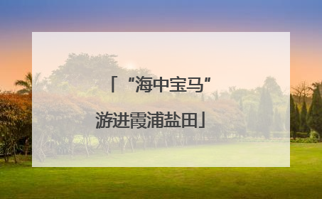 “海中宝马”游进霞浦盐田