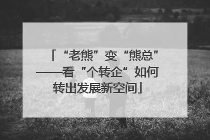 “老熊”变“熊总”——看“个转企”如何转出发展新空间