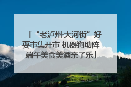 “老泸州·大河街”好耍市集开市 机器狗助阵端午美食美酒亲子乐