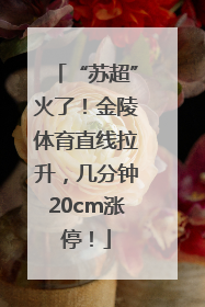 “苏超”火了！金陵体育直线拉升，几分钟20cm涨停！