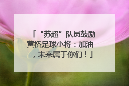 “苏超”队员鼓励黄桥足球小将：加油，未来属于你们！