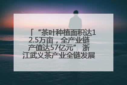 “茶叶种植面积达12.5万亩，全产业链产值达57亿元” 浙江武义茶产业全链发展“加速度”