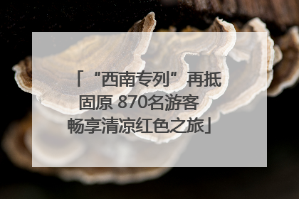 “西南专列”再抵固原 870名游客畅享清凉红色之旅
