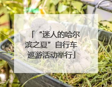 “迷人的哈尔滨之夏”自行车巡游活动举行