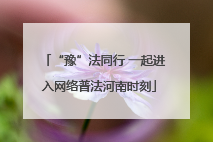 “豫”法同行 一起进入网络普法河南时刻